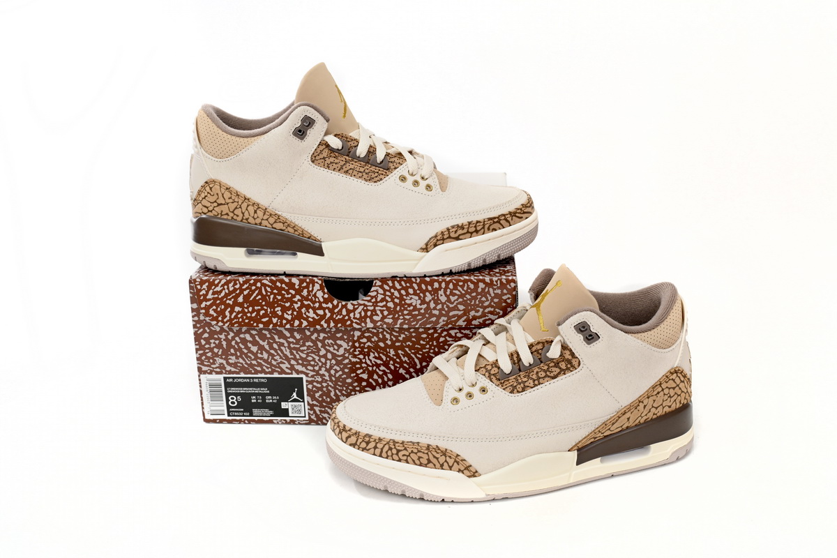 Air Jordan 3 Retro Cracked White Zongzi