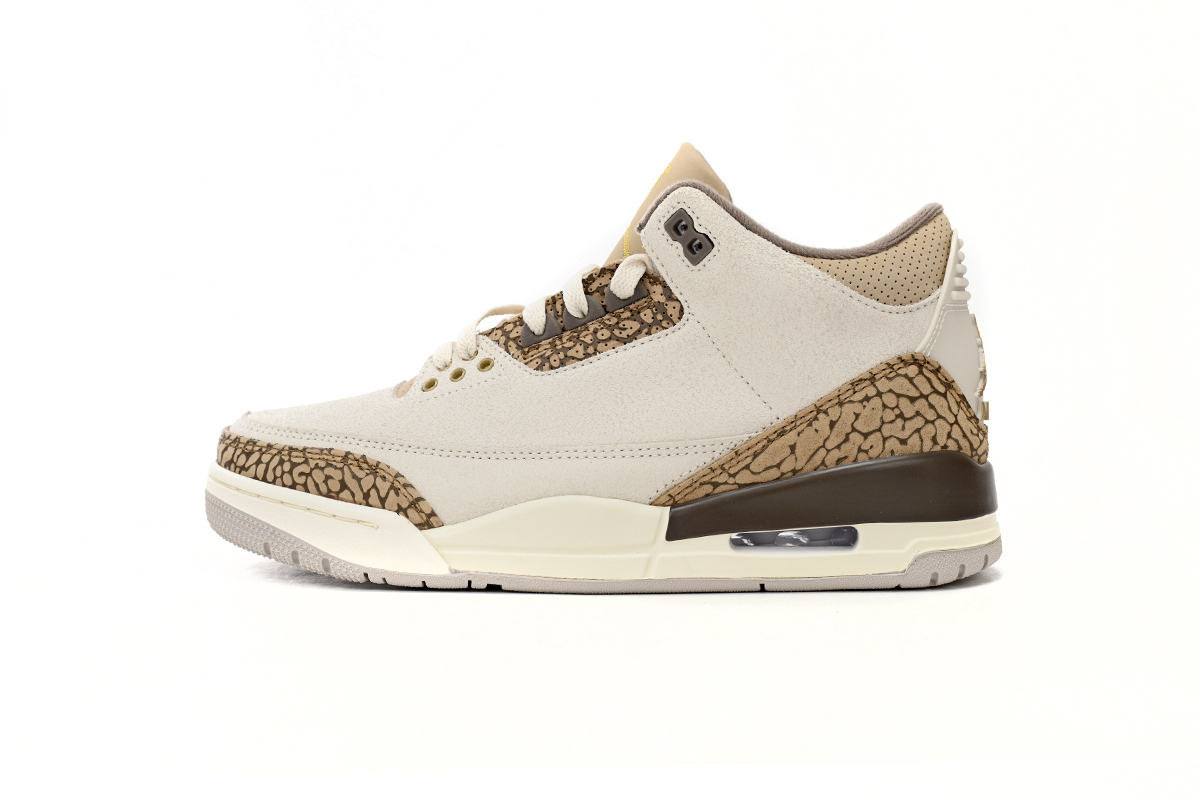 Air Jordan 3 Retro Cracked White Zongzi