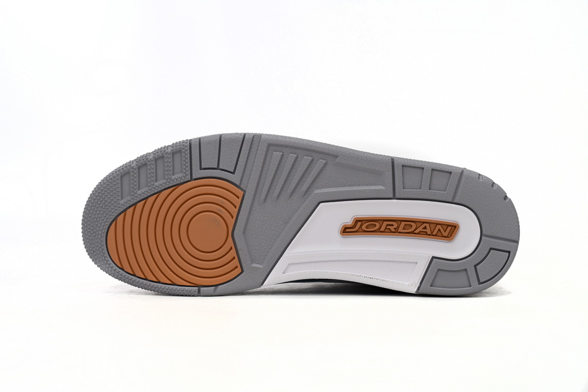 Air Jordan 3 Retro “wizards”