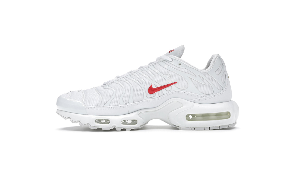 nike air max plus S*p*e white
